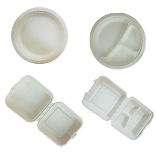 sugercane biodegradable food plates and boxes